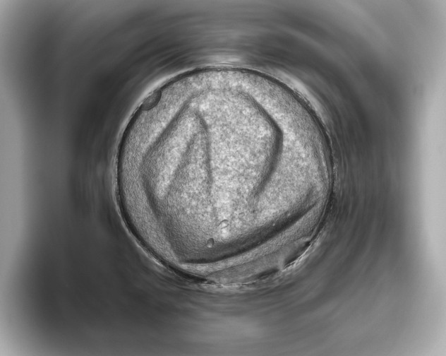 X0000096641432200802261248