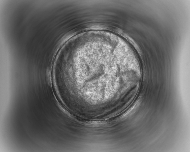 X0000096641433200802261248