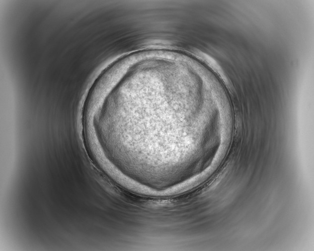 X0000096641435200802261248