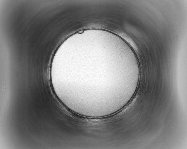 X0000096641436200802261248