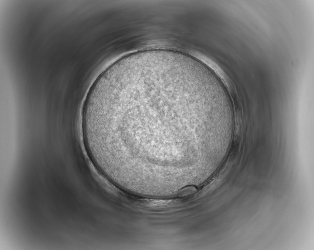 X0000096641439200802261248