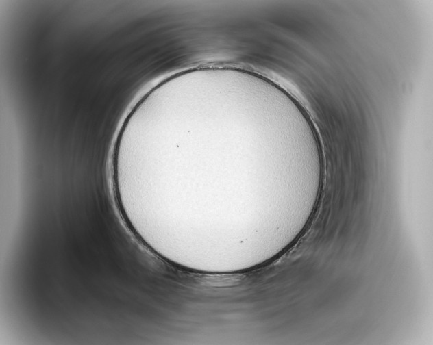 X0000096641440200802261248