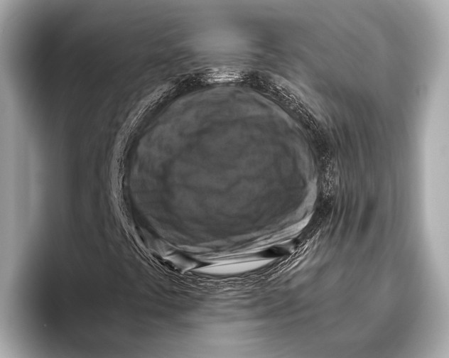 X0000096641441200802261247