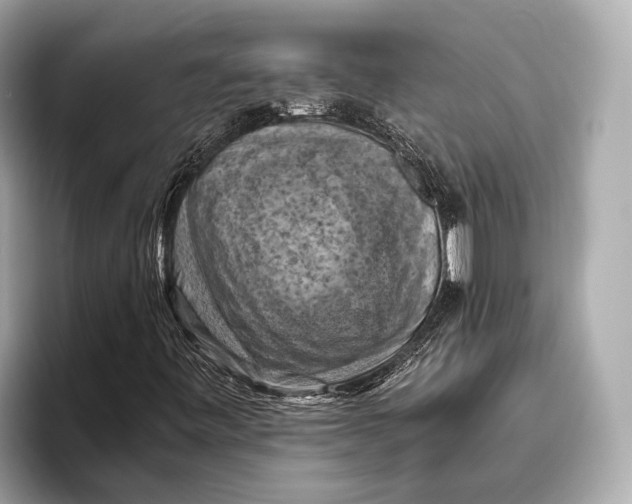 X0000096641443200802261247