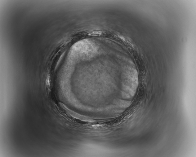 X0000096641445200802261247