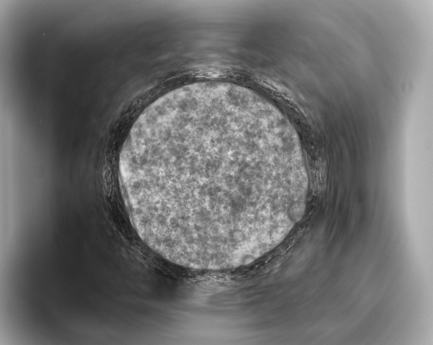 X0000096641446200802261247