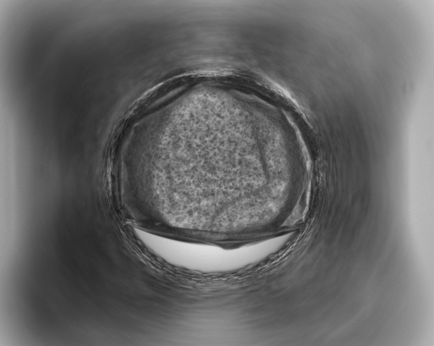 X0000096641448200802261247