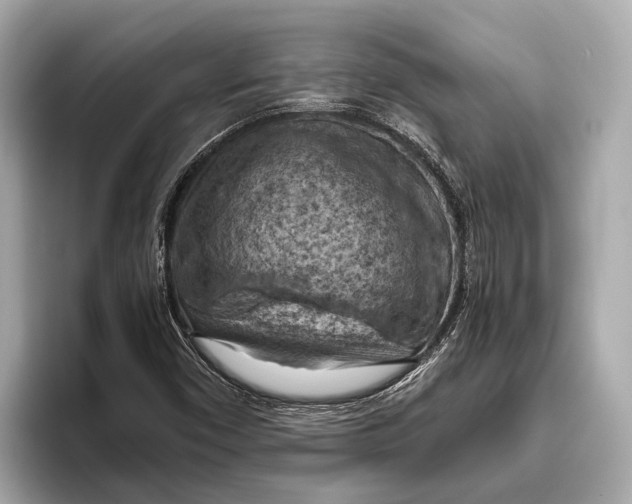 X0000096641450200802261247