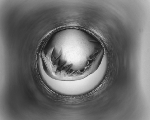 X0000096641452200802261247