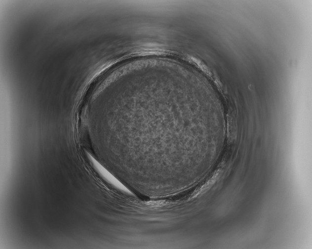 X0000096641453200802261247