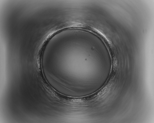 X0000096641455200802261247