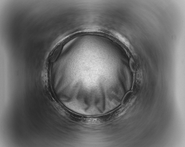 X0000096641456200802261247