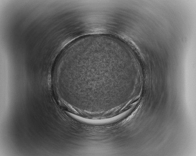 X0000096641457200802261247