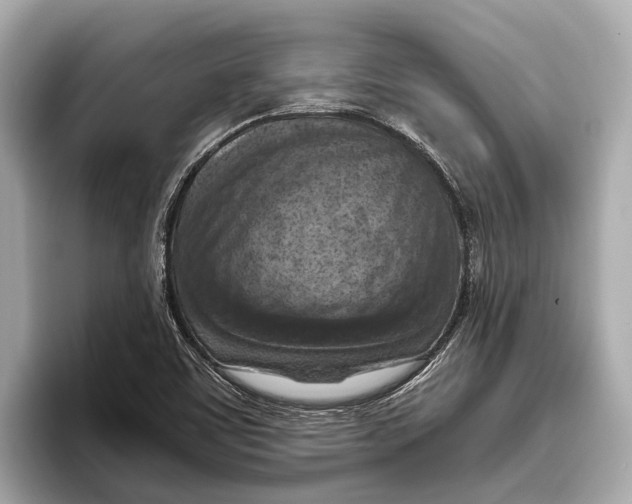 X0000096641459200802261247