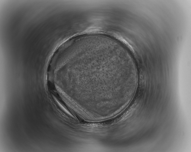 X0000096641461200802261247