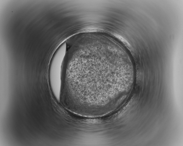 X0000096641465200802261247