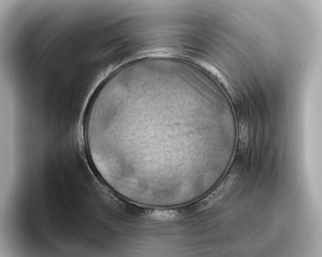 X0000096641466200802261247