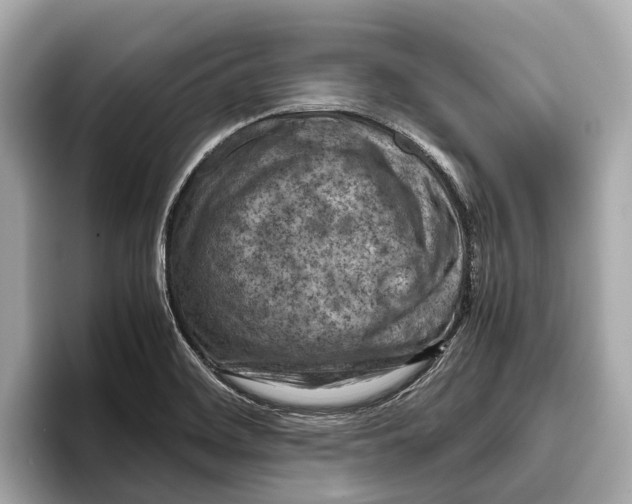 X0000096641468200802261247