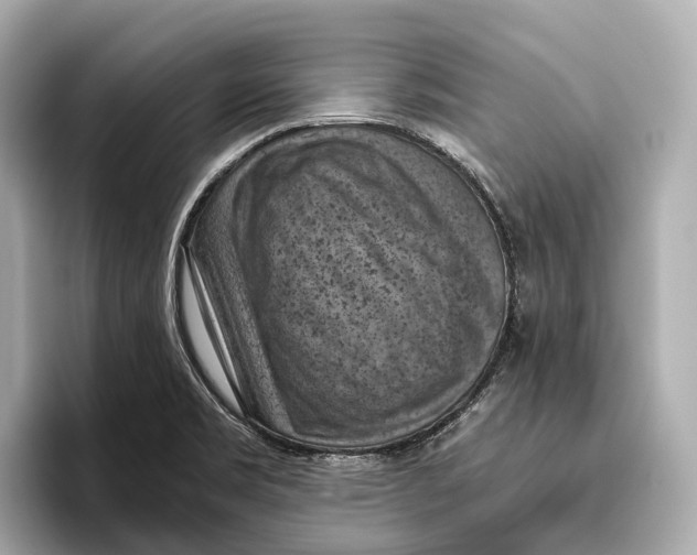 X0000096641469200802261247