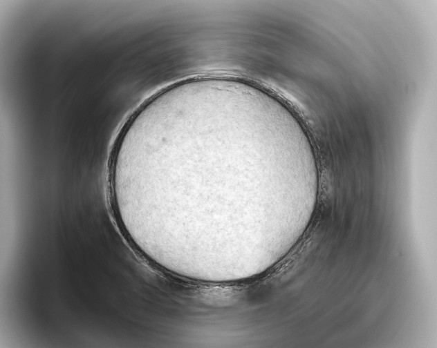 X0000096641470200802261247