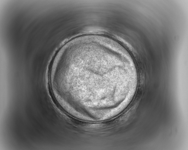 X0000096641471200802261247