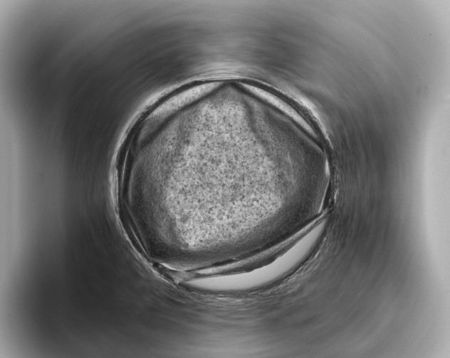 X0000096641472200802261247