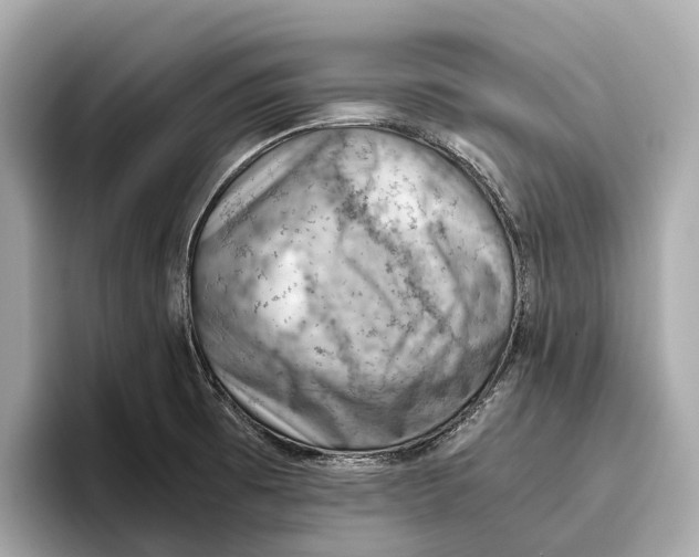 X0000096641473200802261247