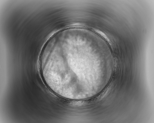 X0000096641474200802261247