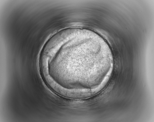 X0000096641475200802261247