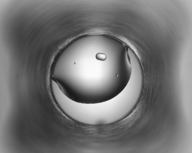 X0000096641477200802261247