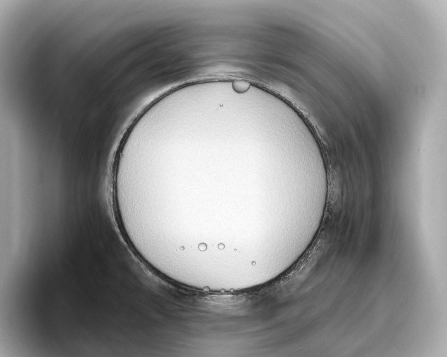 X0000096641478200802261247