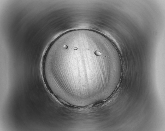 X0000096641480200802261247