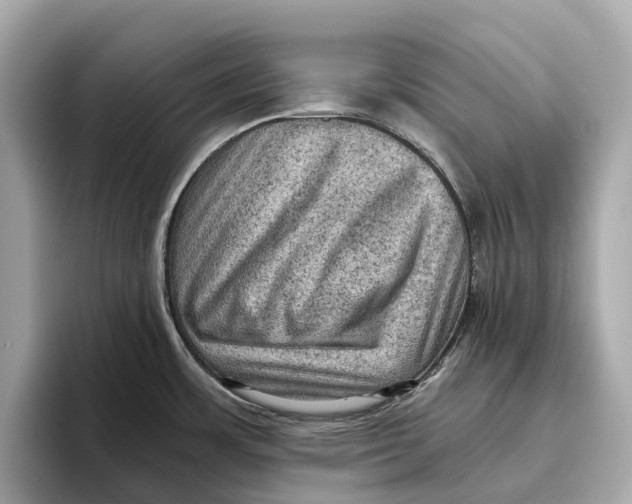 X0000096641483200802261247