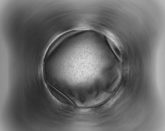 X0000096641484200802261247