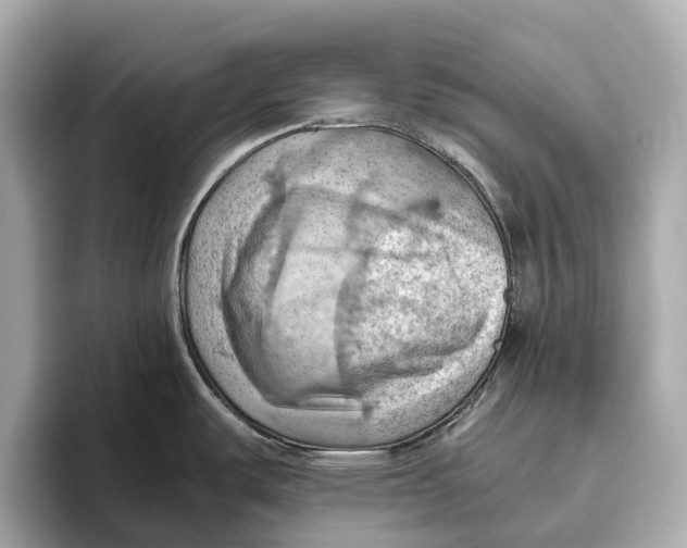 X0000096641487200802261247