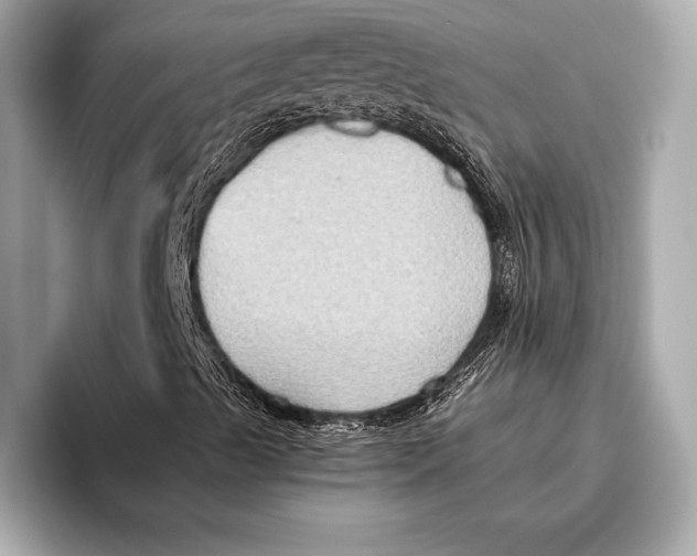 X0000096641489200802261246