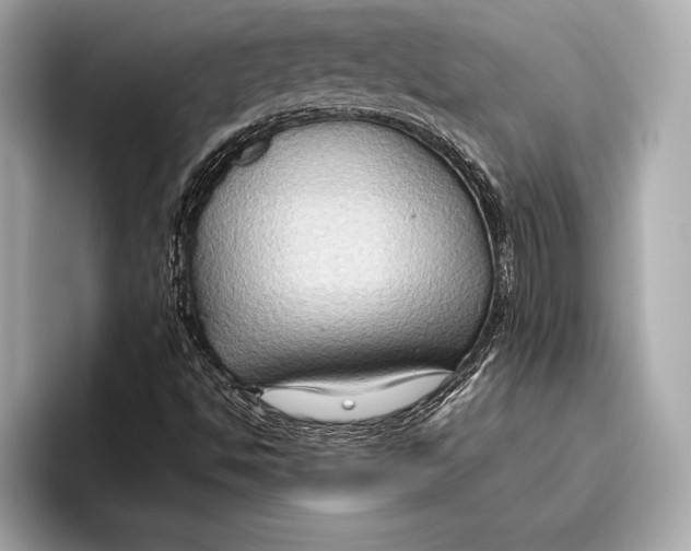 X0000096641494200802261246