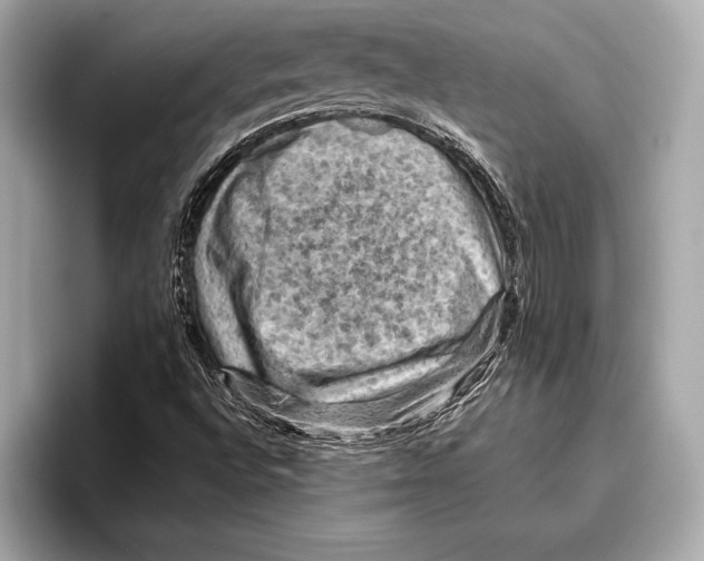 X0000096641496200802261246