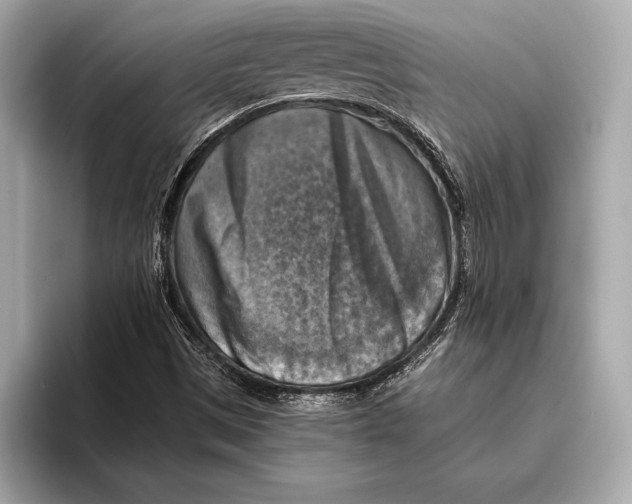 X0000096641497200802261246