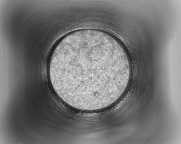 X0000096641498200802261246