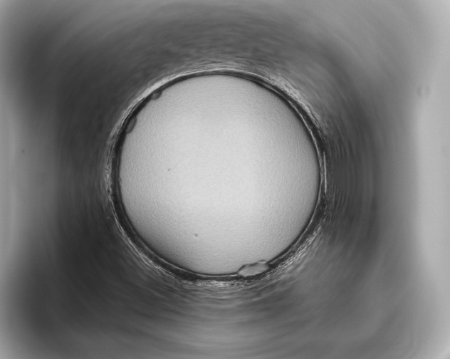 X0000096641500200802261246