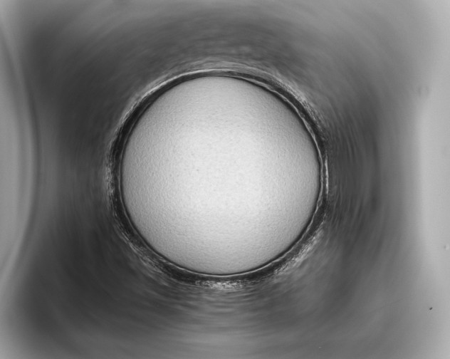 X0000096641501200802261246