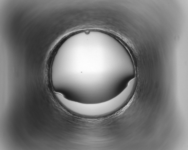 X0000096641502200802261246