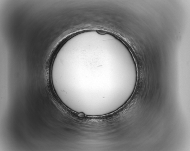 X0000096641503200802261246