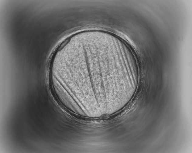 X0000096641504200802261246