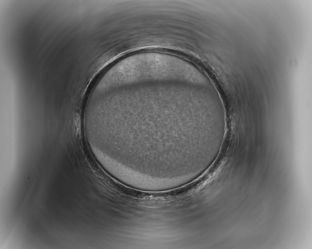 X0000096641505200802261246