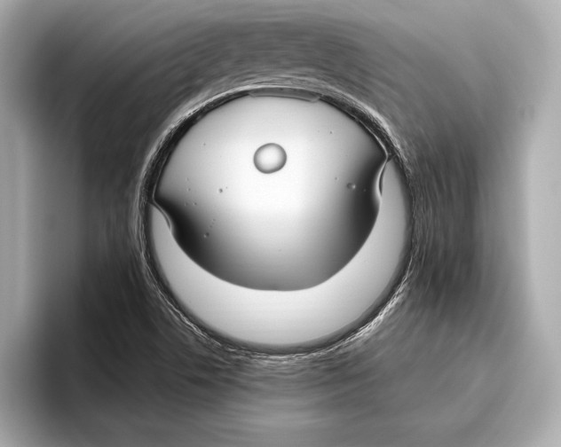 X0000096641506200802261246