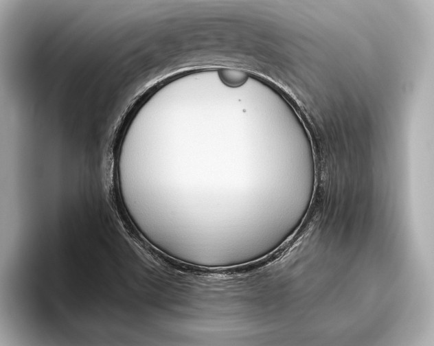 X0000096641507200802261246