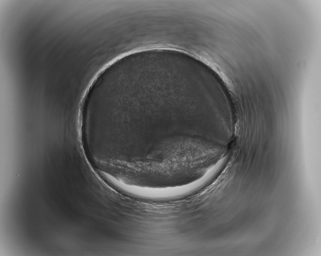 X0000096641508200802261246