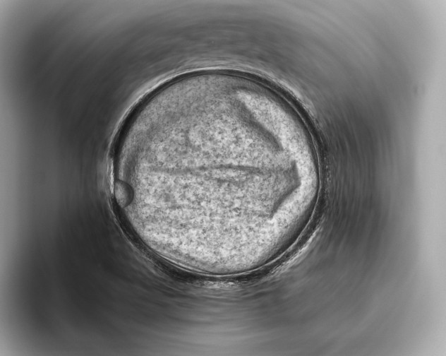 X0000096641509200802261246